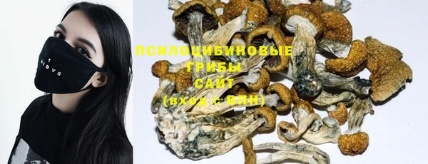 PSILOCYBIN Надым