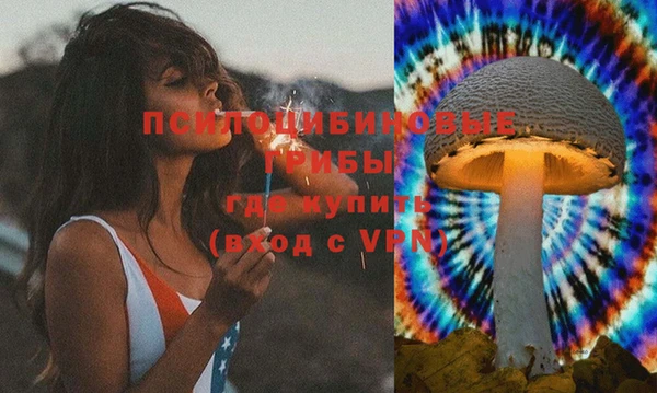 PSILOCYBIN Надым